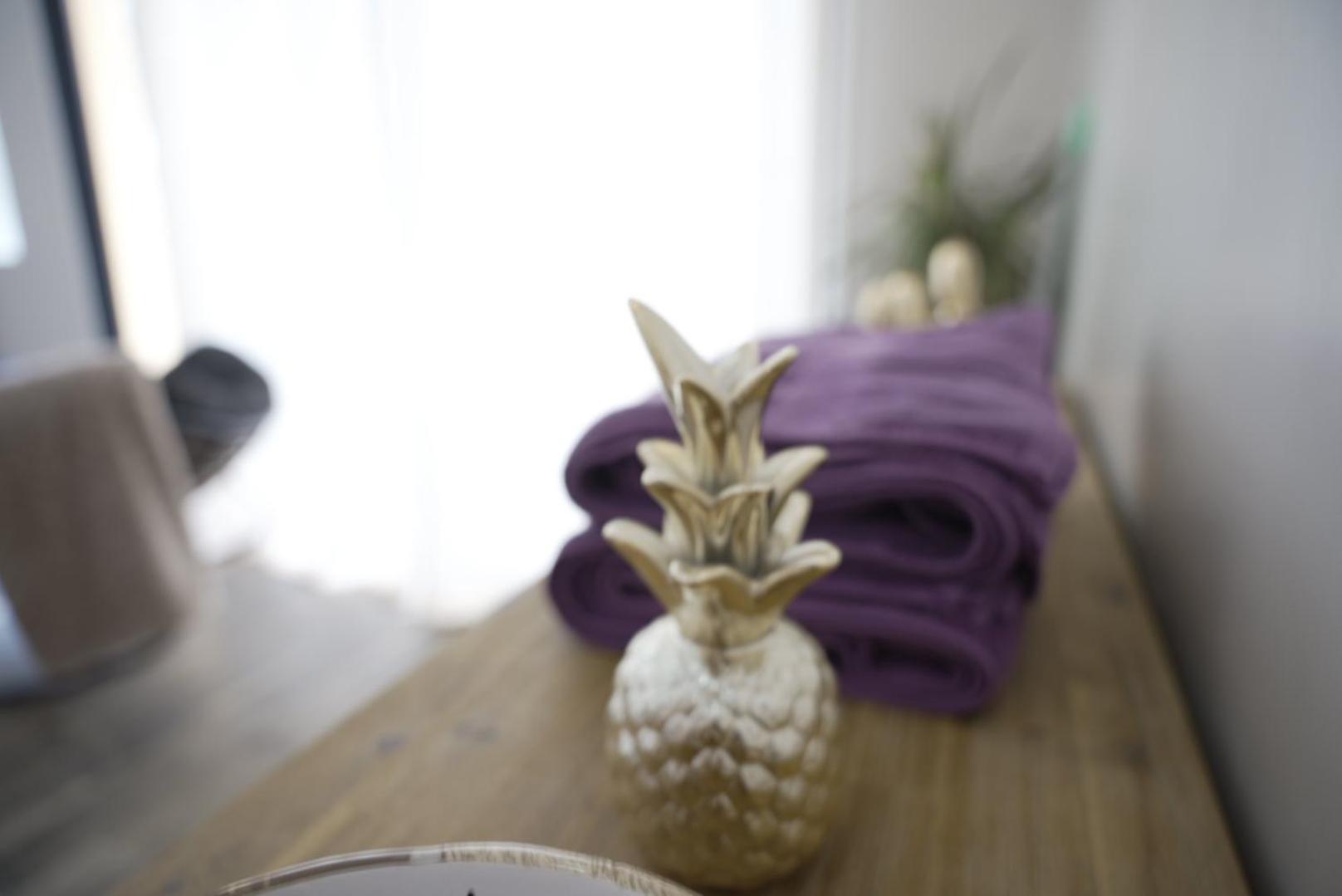 Atoumo Appartement Love Jacuzzi & Jardin Disneyland Paris Quincy-Voisins Room photo